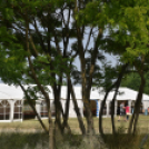 Infineon családi nap