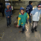 Őszköszöntő a Táncsicsban