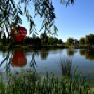 Több száz résztvevő a Városi Sportnapon