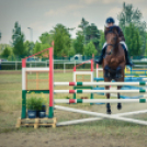 II. Ceglédi Vágta - kísérő rendezvények