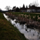 Etűd a Gerje partról