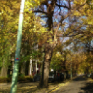 Halló Cegléd - Rákóczi út