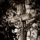 ,,Tudom e mérni a mérhetetlent’’