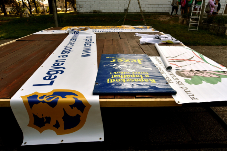 Megyei futó- és gyalogló nap