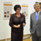 Székely festékesek a múzeumban