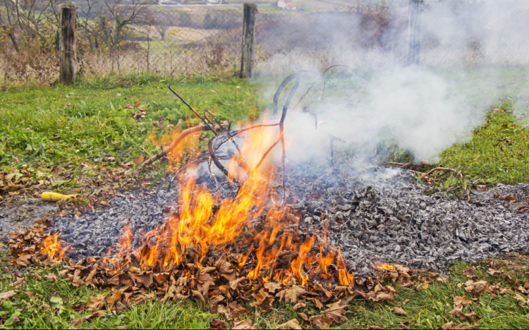 Átmenetileg lehet avart égetni