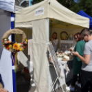 Régi Idők Piacztere az Eötvös téren