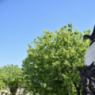 A hősökre emlékeztek