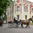 Lovasfelvonulás a belvárosban