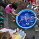 Zenei fesztivál a Táncsicsban