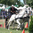 IX. Bor és Laskafesztivál - IV. Ceglédi Vágta