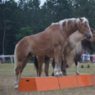 A lovak nyelvén – Hamza Viktória