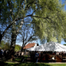 Virágvásár és főzőfesztivál Csemőben