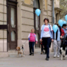 Autizmus Világnapja Cegléden