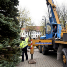 Megérkezett a város karácsonyfája