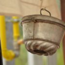 Rózsák Hétvégéje - Oázis Kertészeti Áruház