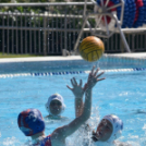 Győzelemmel kezdett a ceglédi csapat