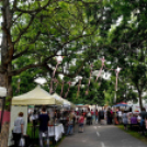 Pöttyös gyermeknap 2019