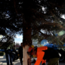 Karácsonyi készülődés a Szabadság téren