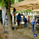 Autómentes nap Cegléden