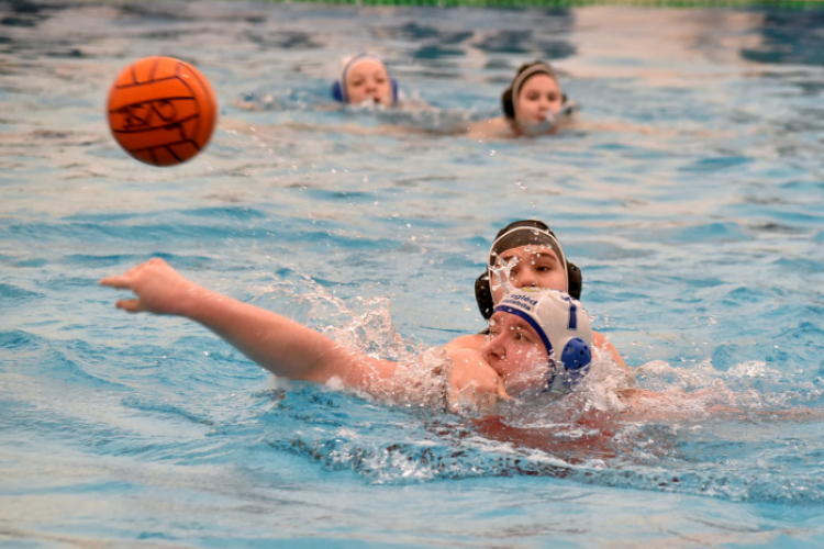 Országos póló bajnokság