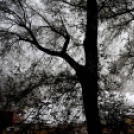 Városi Strandfürdő - Tető alá került a medence