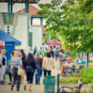 VII. Bor és laskafesztivál - 02