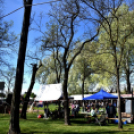 Virágvásár és főzőfesztivál Csemőben