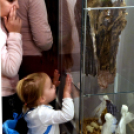 Betlehemi jászol pályázat