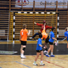 Ceglédi Kék Cápák - Szigetszentmiklós NKSE 31 - 26