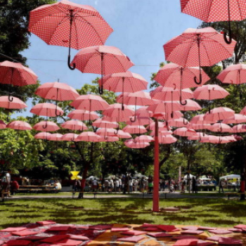 Pöttyös gyermeknap 2019