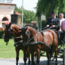 IX. Bor és Laskafesztivál - IV. Ceglédi Vágta