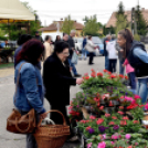 Anyámtyúkja - Csemő