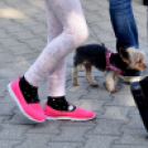 Országos triál bajnokság Cegléden