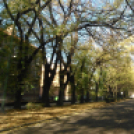 Halló Cegléd - Rákóczi út