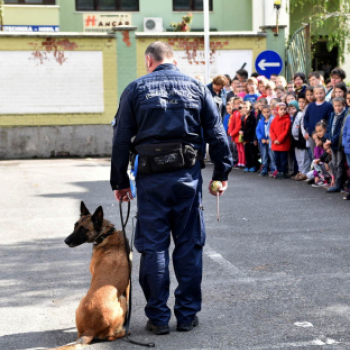 RENDŐRSÉGI NYÍLT NAP