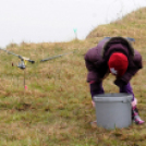 Hétvégi horgásznap