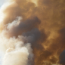 Száraz növényzet égett