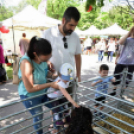 Pöttyös gyermeknap 2019