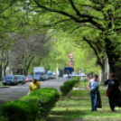 Városi Tavaszi Nagytakarítás