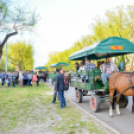 Szerenádoztak a gimisek