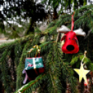 Vadak karácsonya Nyársapáton