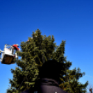 Feldíszítették a város karácsonyfáját