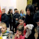 Kötelező és szabadon választottak