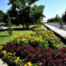 Csemőben is járt a nemzetközi zsűri