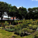 Csemőben is járt a nemzetközi zsűri