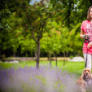 A kedvencek visszatértek