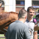 IX. Bor és Laskafesztivál - IV. Ceglédi Vágta