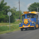 Bor és laskafesztivál - II