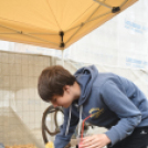 Régi idők piacztere - fotó: Kisfaludi István